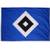 HSV Fussball AG 29954