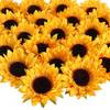 Huaesin Sonnenblumen