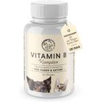 Hunde-Vitamine