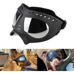 Hundebrille