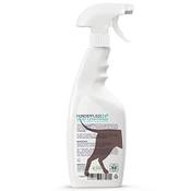 Hundepflege24 Entfilzungsspray