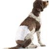Hundewindeln
