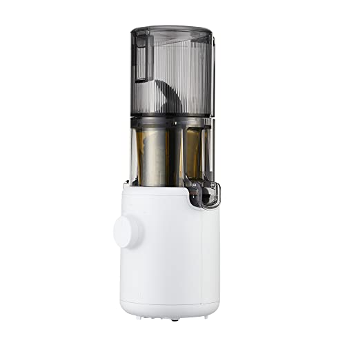 Slow-Juicer Test und Vergleich 2026