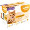 Iams Delights Futter für Junior Kätzchen
