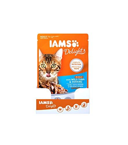 IAMS-Katzenfutter Test & Vergleich  Top 14 im Juni 2026