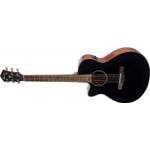 Ibanez AEG50L