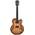 Ibanez AF55-TF