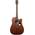 Ibanez AW54CE-OPN