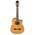 Ibanez GA6CE-AM