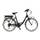 Ibike Urban Elektrofahrrad