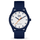 ICE-WATCH - ICE-Solarstrom pazifisch