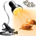 Icepark Terrarium-Lampen