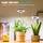 Idealife Pflanzenlampe