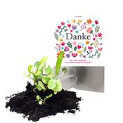 Ideenverlag "Danke" Samenbomben