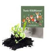 Ideenverlag "Waldtiere" Samenbomben