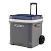 Igloo Maxcold 62