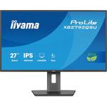 iiyama-Monitor (27 Zoll)