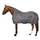 Imperial Riding Outdoordecke