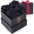 Impouo Konservierte Rose