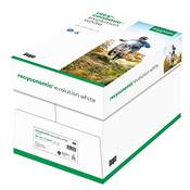 Inapa Recyclingpapier