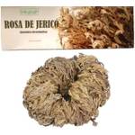 Inkanat Rose von Jericho