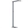 Innovate LED Stehlampe 41617