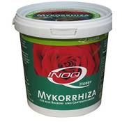 INOQ 1101