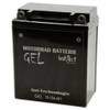 Intact GEL12-12A-4A1