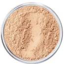 Intelligent Cosmetics Bare Face Foundation