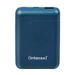 Intenso 7313537 XS 10000