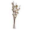 Interflowers GmbH Baumwollzweig