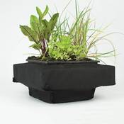Interflowers Pflanzkorb Vergleich