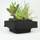 Interflowers Pflanzkorb
