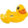 Intex Ente
