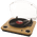 Ion Audio Max LP