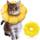 Iospkkio Halskrause Katze