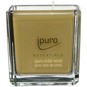 Ipuro Essentials Cedar Wood Duftkerze