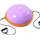 ISE Balance Trainer Ball