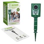 Isotronic 60036
