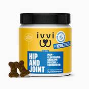 Ivvi Hip and Joint