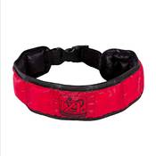 Izipet Kühlhalsband für Hunde
