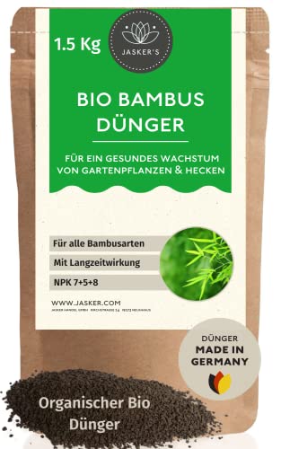 bambus lage pottenhausen Gelber Laufbambus - Phyllostachys aureosulcata aureocaulis main image 0