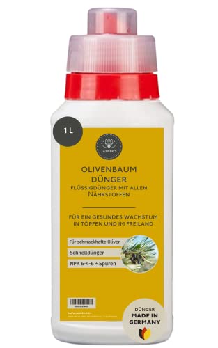 Olivenbaum-Dnger Test & Vergleich  Top 12 im Juni 2026