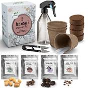 Jatisi Bonsai-Starter-Kit Vergleich