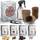 Jatisi Bonsai-Starter-Kit
