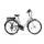 Jeep City E-Bike ECR 3001