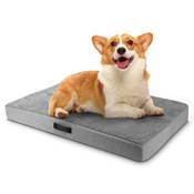 Joejoy Orthopädisches Hundekissen Vergleich