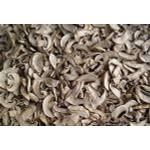 Johnleemushroom Champignons