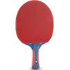 Joola Junior Profi