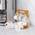 Jujoybd Espressotassen Set